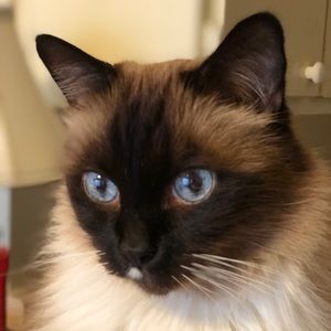 Meet your Posher, Olga